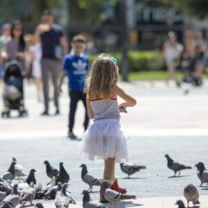 ulkede guvercine yem atmak yasaklandi 7idyu2dd