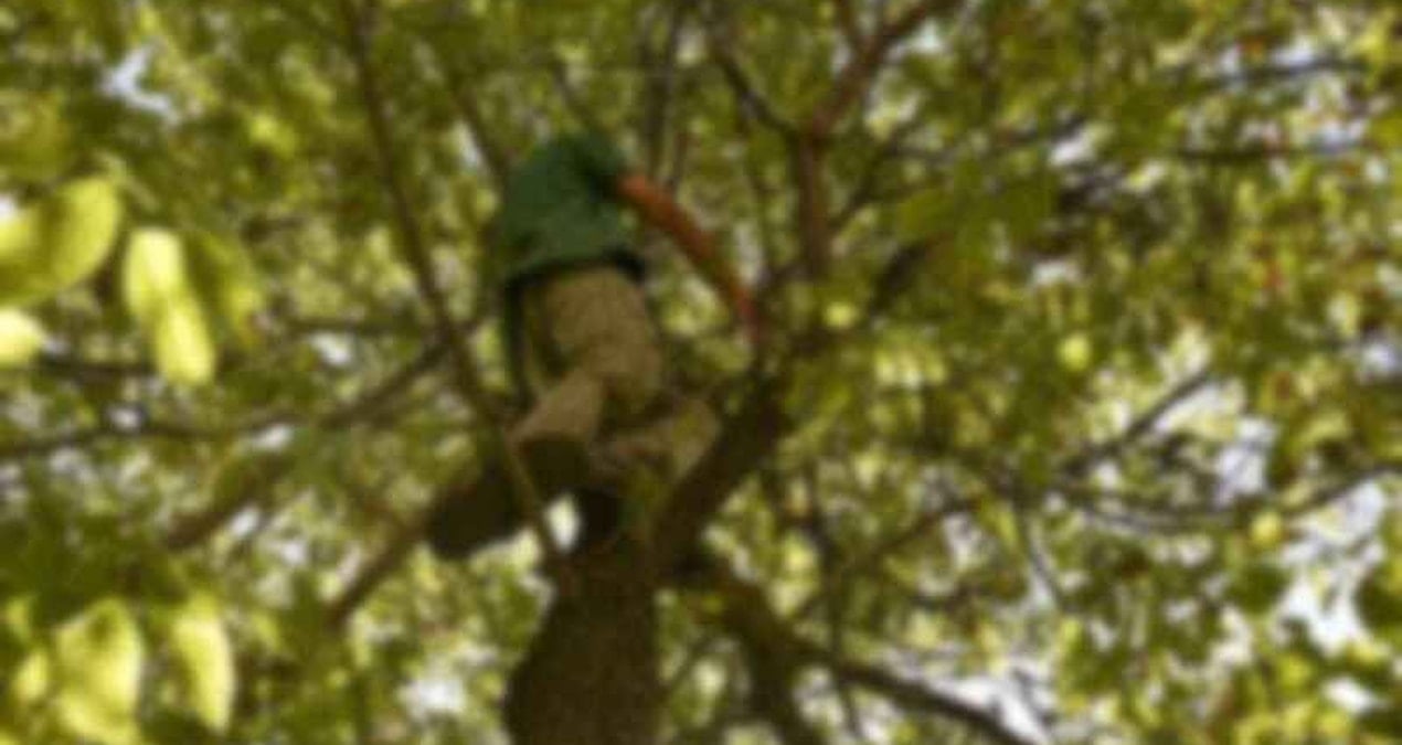 agactan dustu hastanede oldu ZmWYVxLu