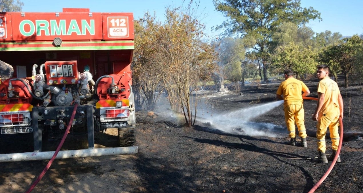 aydinda yangin zeytin agaclarini zarar gordu lU6VF3JY