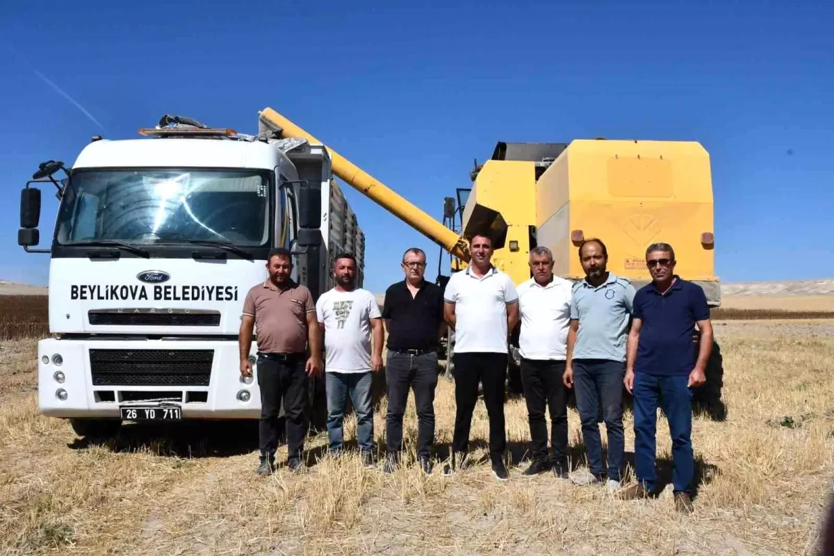 beylikovada yaglik aycicegi hasadi basladi 4 milyon tl ek gelir saglandi 1OReGPu5