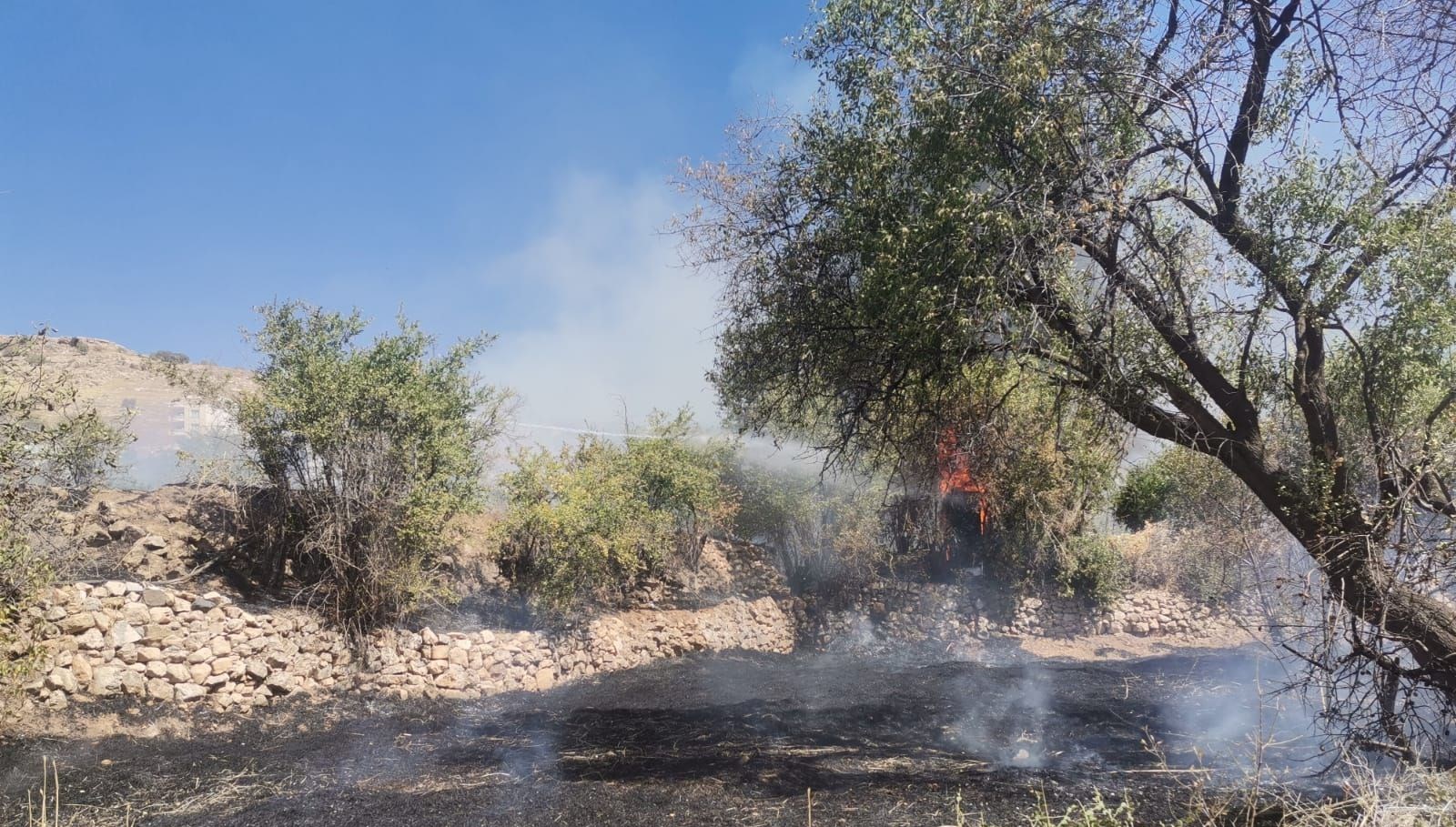 mardinin 2 ilcesinde ortu yangini h4VQSW8x