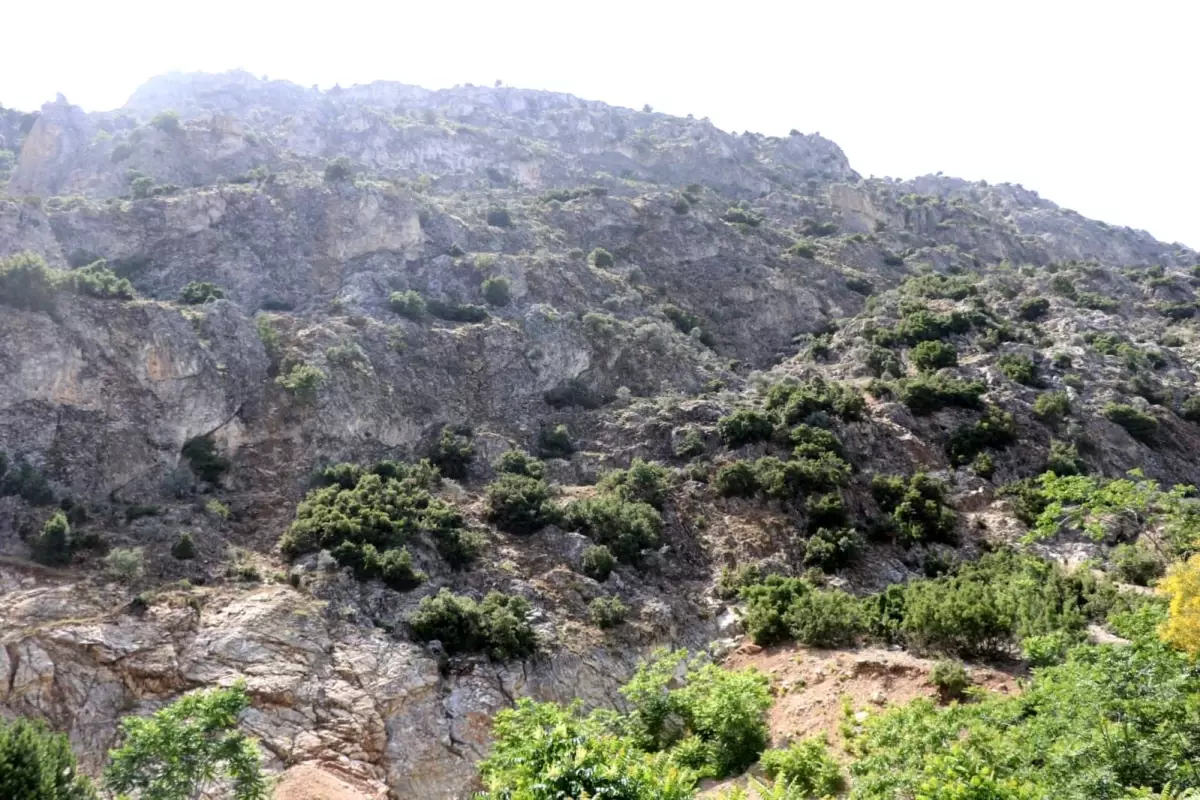 ispartada kaybolan 75 yasindaki adam icin arama calismalari baslatildi hqrugFwJ.jpg